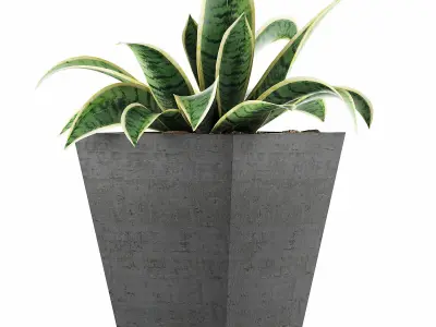 Plants Collection 60 3D model