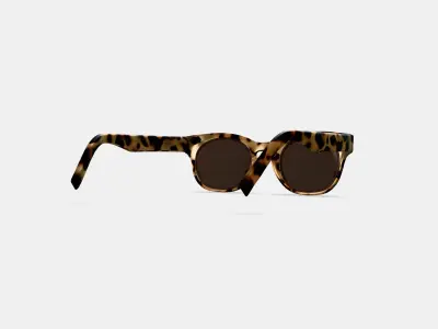 Kimball Sunglasses in Marzipan Tortoise 3D model