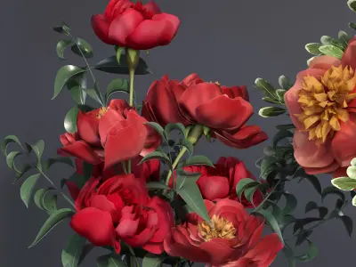 Realistic Collection of Peonies Bouquet in Vases 3D model