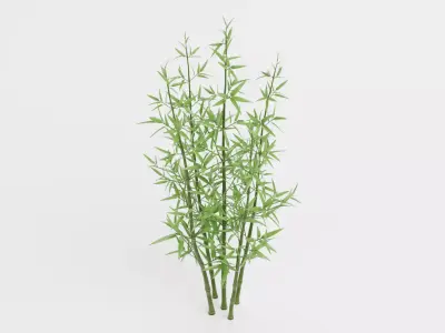 Bamboo Cluster Low-poly 3D model
