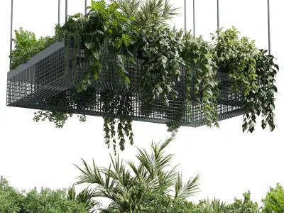 hanging plants - indoor plant set 447 Rectangle pendant pot  3D model