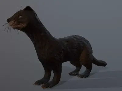 Dark sable ferret Low-poly 3D model