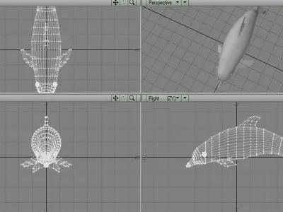Dolphin - Oceanic 3D model