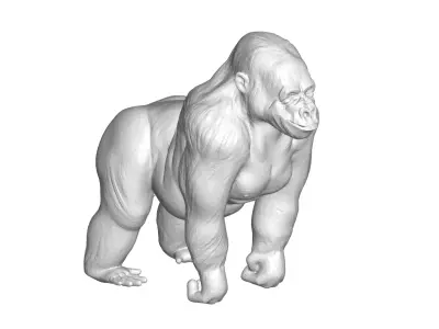Gorilla 3D model buy
