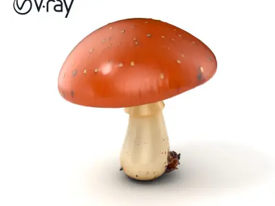 Realistic Mushroom Model Pack Low-poly 3D model