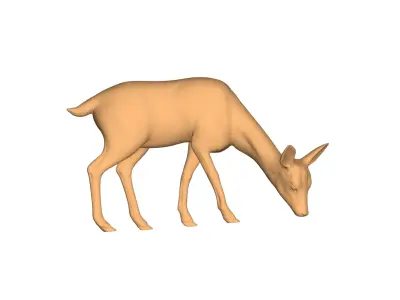 Deer - 3D model 2