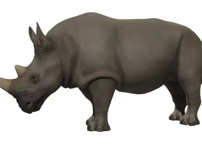 African Rhino Low-poly 3D model