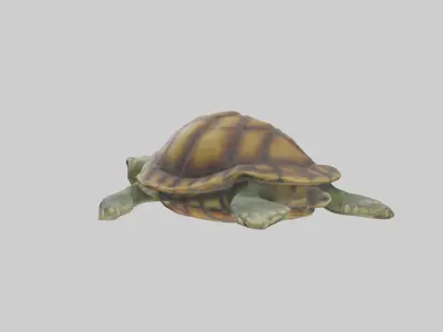 Lying Turtle Model 1 Low-poly 3D model