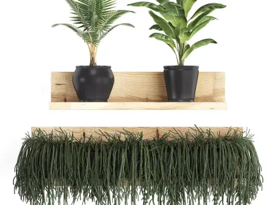 Collection of Exotic Plants 406 3D model