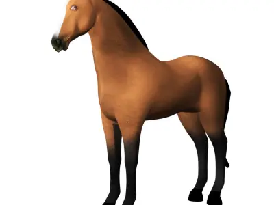 3D Horse Rigged and Animated Low-poly 3D model