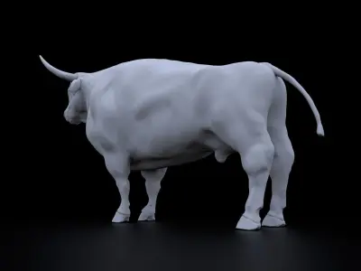 Bull High detail 3D model