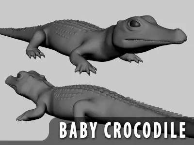 Baby Crocodile Low-poly 3D model