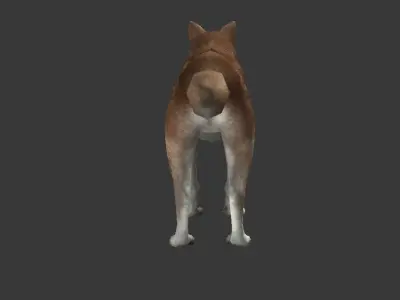 Brown Wolf Low-poly 3D model