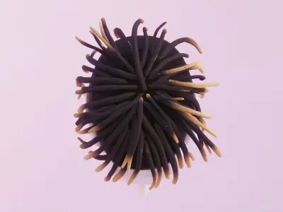 Dreads Inspired by Juice Wrld  Low-poly 3D model