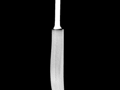 Cricket Bat 3D model