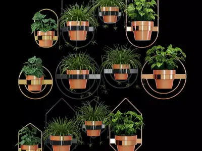 Wall Planters 3D model