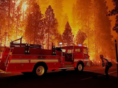 Firetruck M CF 1978 3D model