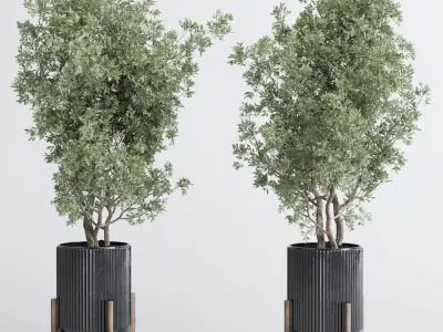 indoor plant set 381 tree bush concrete dirt vase Low-poly 3D model