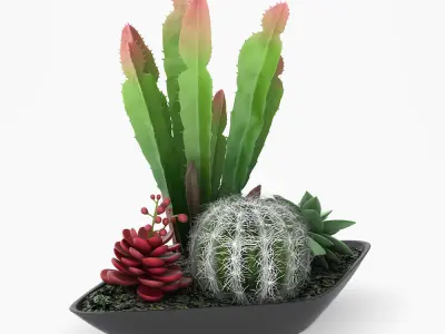 Pot Plant 12 3D models 3D model