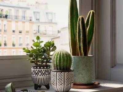 Indoor plants collection 3D model