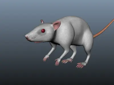 Mouse 3D Model rat Low-poly 3D model