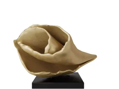 Coral Decoration Collection 3D model