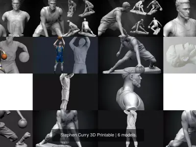 Stephen Curry 3D Printable 3D Model Collection