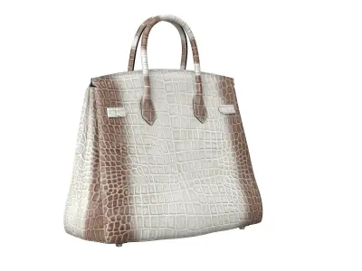 Hermes Birkin Bag Alligator White Low-poly 3D model
