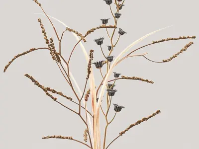 MENU Decor set 3D model