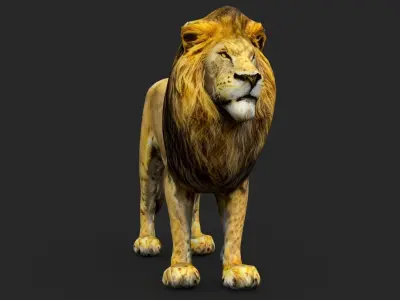 Lion Cartoon Low-poly 3D model buy