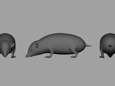 hedgehog 3d model pig 3D model