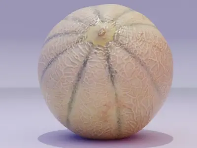 Melon Low-poly 3D model