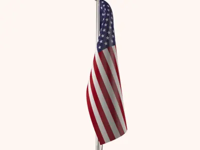 USA Flag Pole 3D model