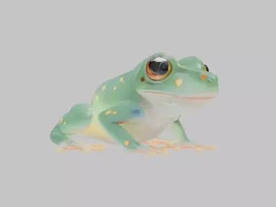 Magical Fantasy Frog Low-poly 3D model