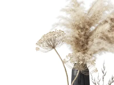 Bouquet with dry composition 3D model