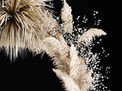 Wedding Arch Made Of Dried Flowers Pampas Grass 3D model