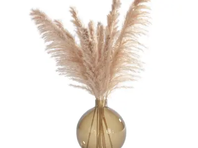 dried flowers set - pampas 3D model