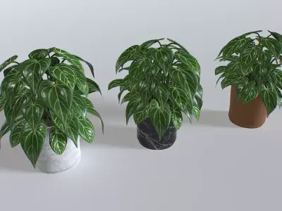 Pot Tropical Plant 3 Low-poly 3D model