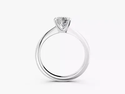 ZABS009A CUS engagement 3D print model