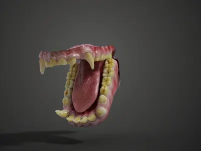 Gorilla Oral Cavity VFX Grace 3D model