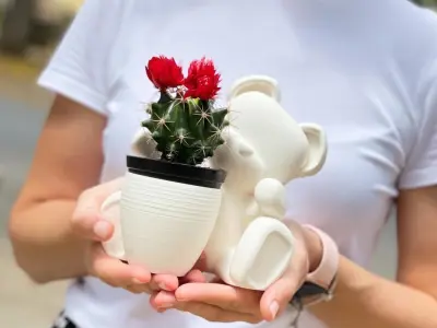 Teddy Bear valentine vase 3D print model