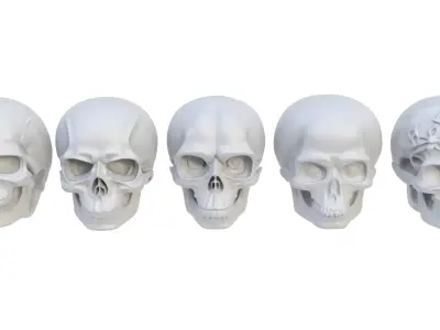 Decorative skull 3D model