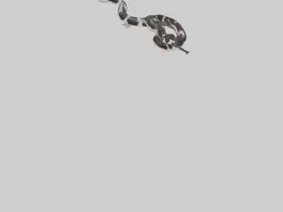 California King Snake slithering model Low-poly 3D model