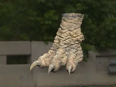 Dragon Foot 3D model