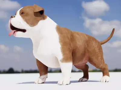 Pitbul Flex 3D model