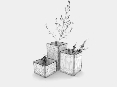 Coloured vases with plants 3D model