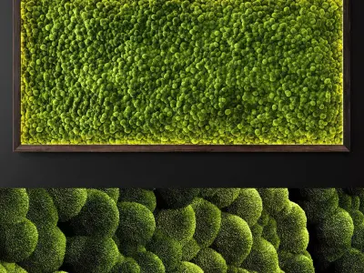 Moss wall 2 3D model