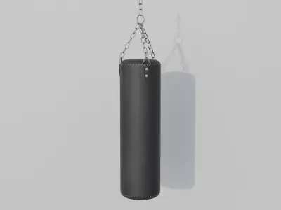 Punch Bag 3D model