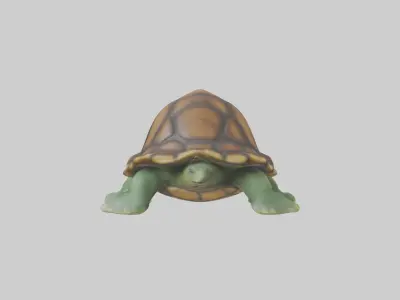 Baby Turtle Model 1 Low-poly 3D model