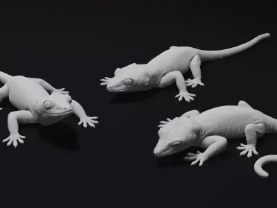 Gargoyle Gecko Pet Reptile 3D Print Model 3D print model